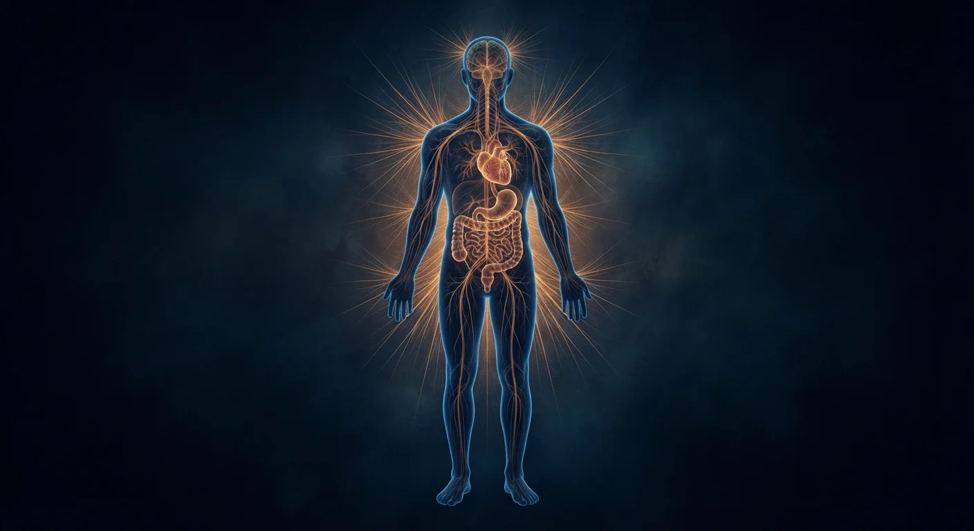 Stress and Physical Health: How Chronic Tension Affects the Body Over Time